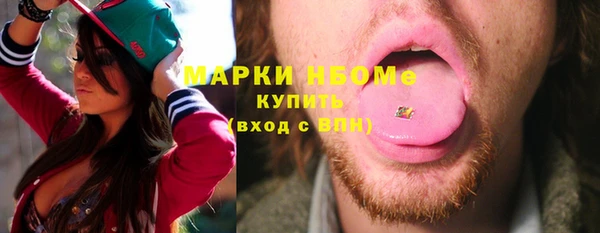 прущие грибы Бородино