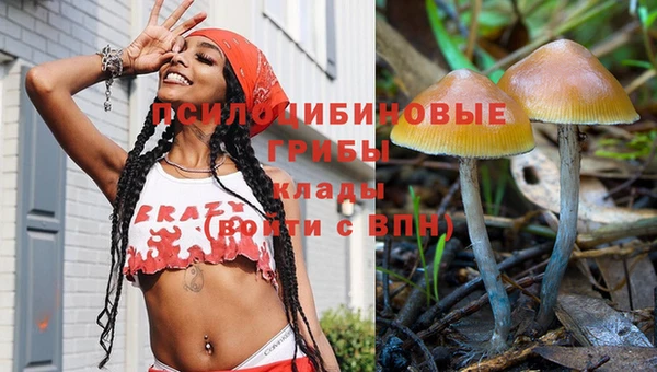 стафф Верея
