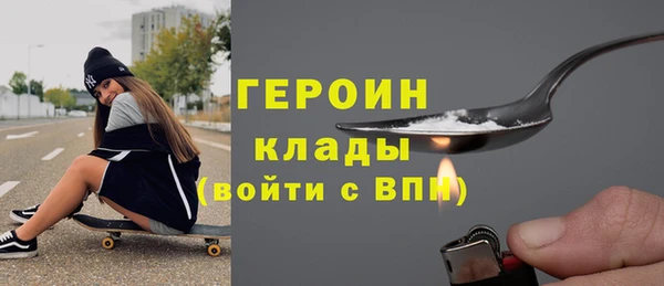 прущие грибы Бородино