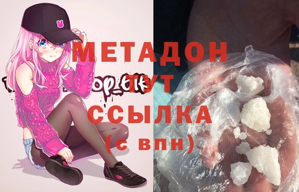 прущие грибы Бородино