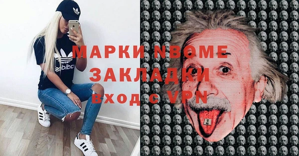 прущие грибы Бородино