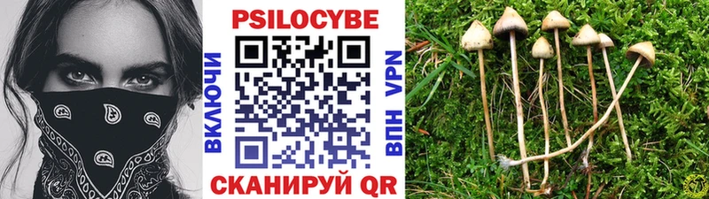 ссылка на мегу ТОР  цены наркотик  Мончегорск  Галлюциногенные грибы мицелий 