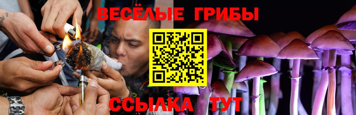 Псилоцибиновые грибы мицелий  продажа наркотиков  Мончегорск  Вход с VPN 